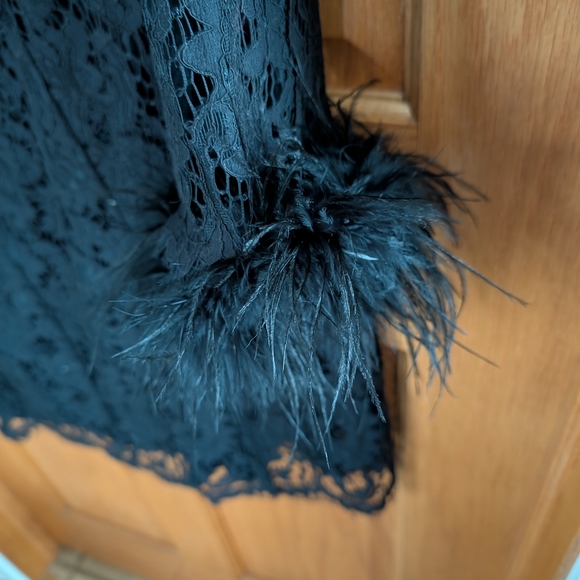Dressy NWT Cache Sz L Black Lace Dress with Feather Cuffs - Picture 4 of 16
